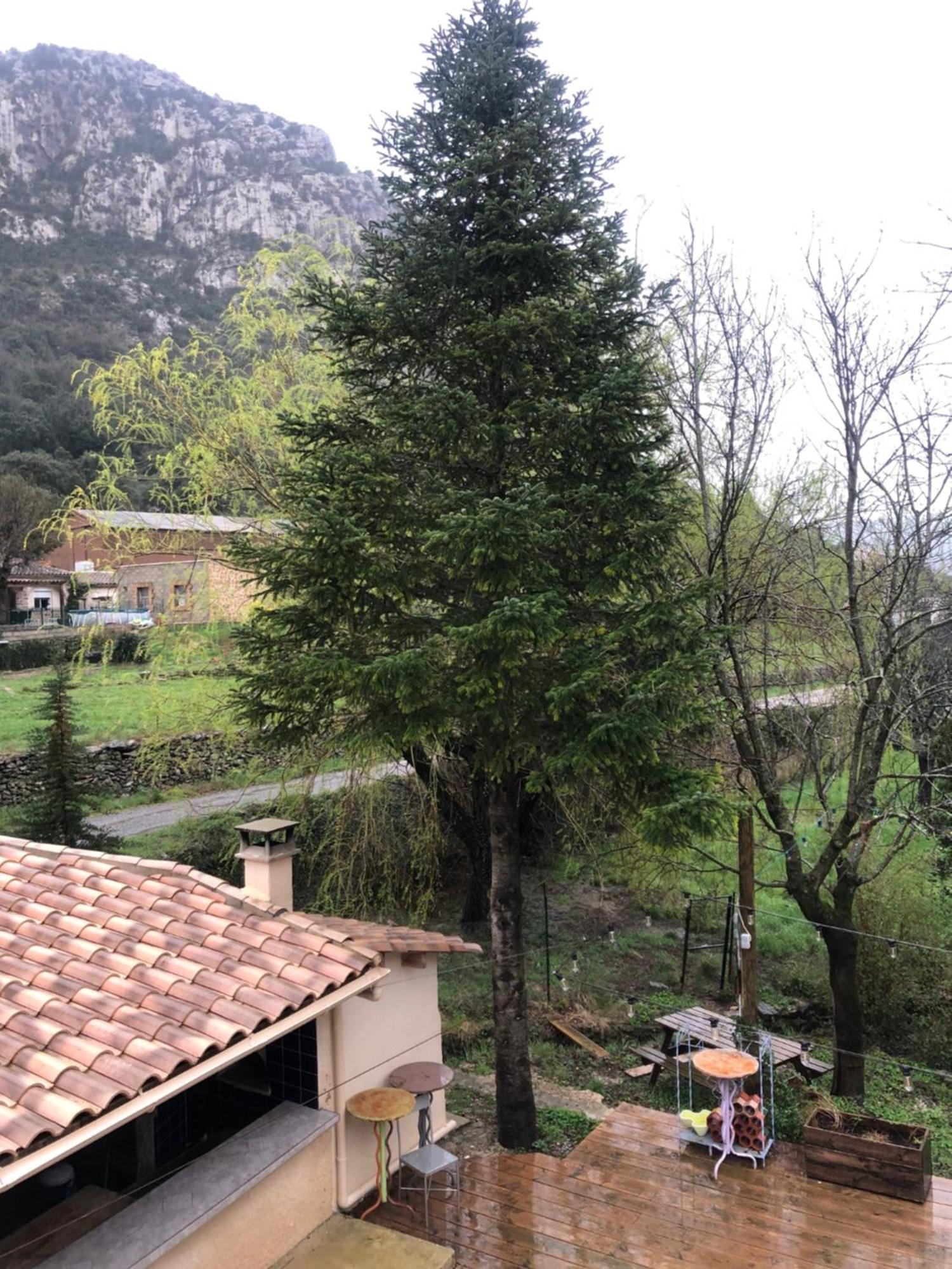 Auberge De La Vallee Saint-Jean-de-Bueges ภายนอก รูปภาพ